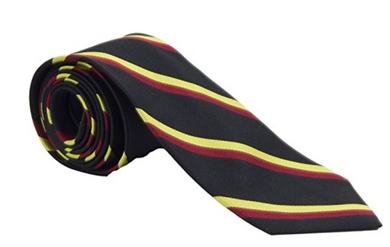 1st Battalion Royal Anglian Regiment Silk Regimental Tie