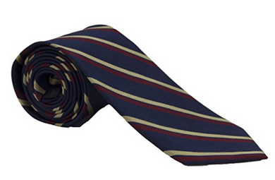 2nd Battalion Royal Anglian Regiment Silk Regimental Tie