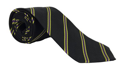 3rd Battalion Royal Anglian Regiment Silk Non Crease Regimental Tie