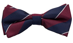 1st Queen's Dragoon Guards Regimental Bow Tie