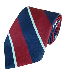 RAF Royal Air Force Regiment Tie