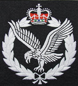 Army Air Corps Blazer Badge