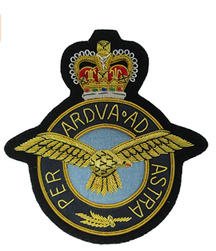 RAF blazer badge